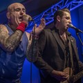 GutterPunk - Professional Concert Photography